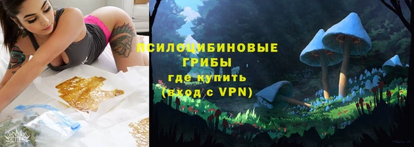 метадон Алексин