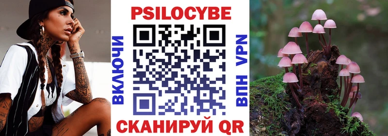 Галлюциногенные грибы Psilocybe  Туринск 